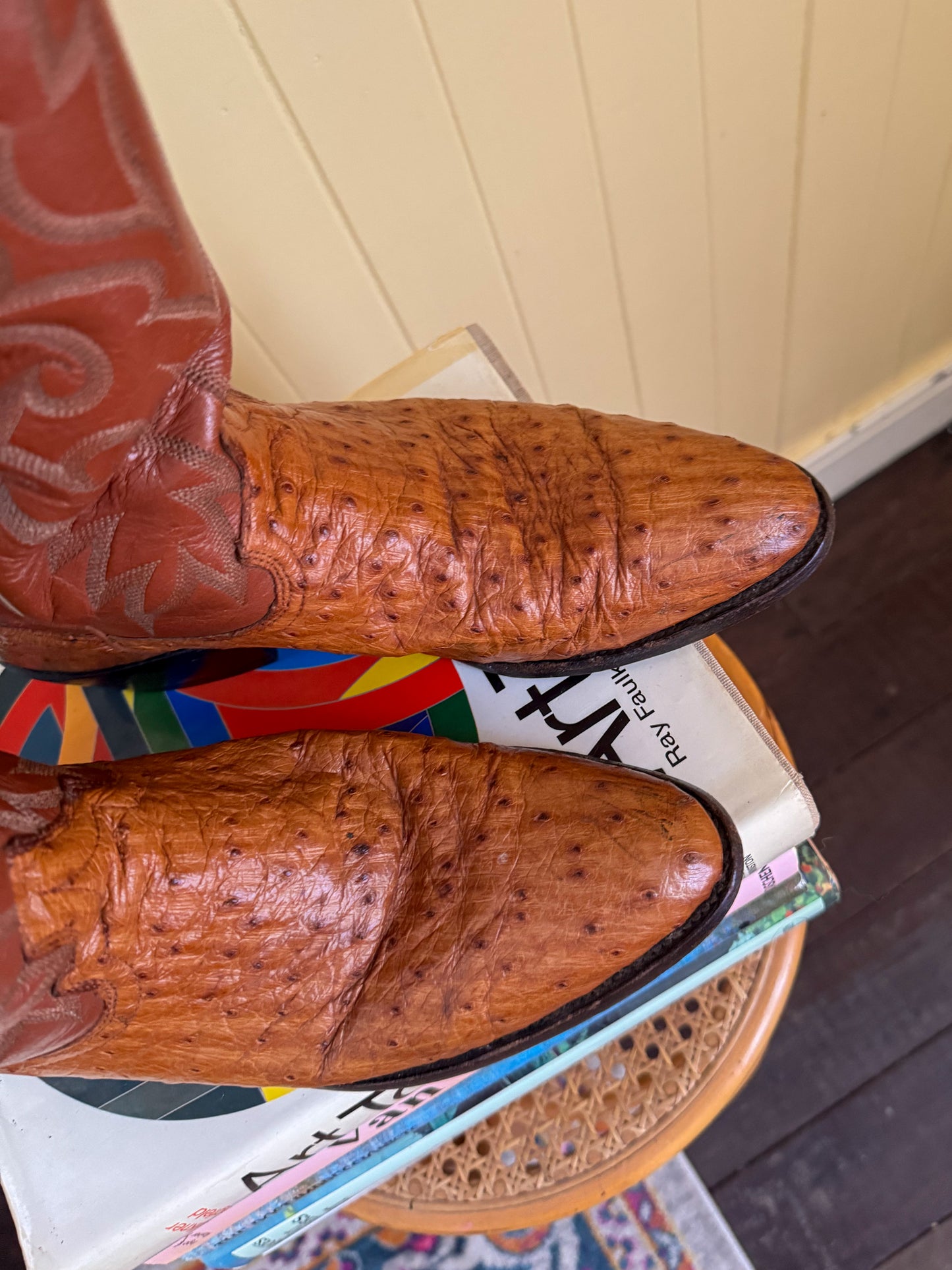 VINTAGE DAN POST AMERICAN OSTRICH LEATHER QUILL WESTERN COWBOY BOOTS 10/41