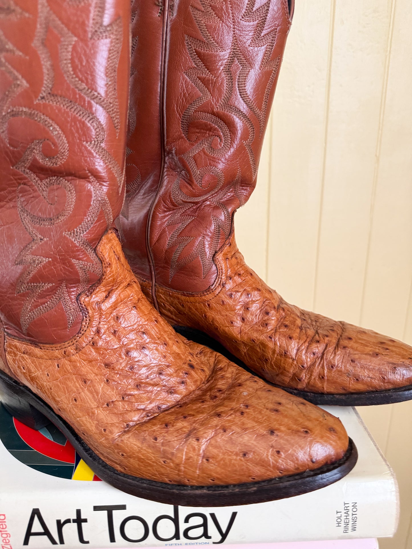 VINTAGE DAN POST AMERICAN OSTRICH LEATHER QUILL WESTERN COWBOY BOOTS 10/41