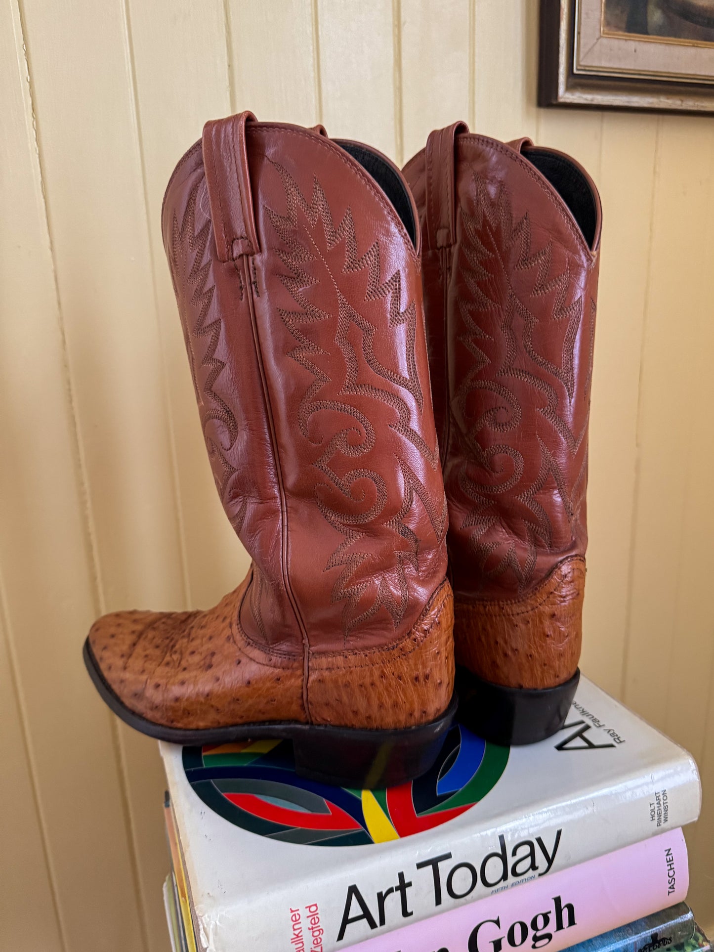 VINTAGE DAN POST AMERICAN OSTRICH LEATHER QUILL WESTERN COWBOY BOOTS 10/41
